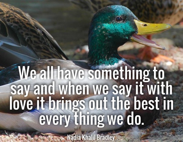 We all have something to say and Design 