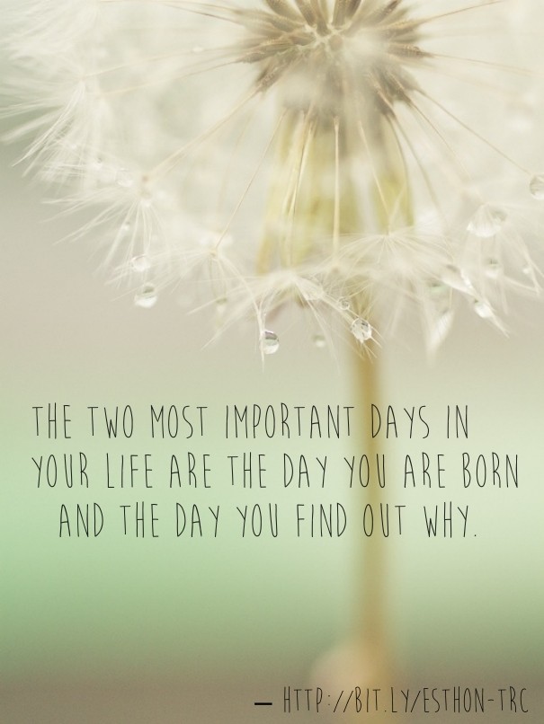 The two most important days in your Design 