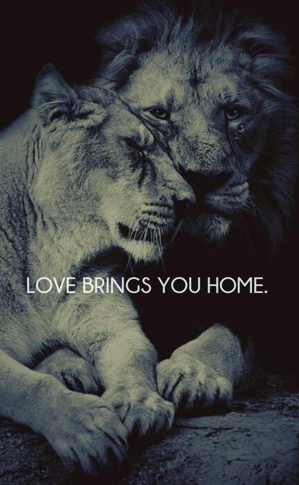 Love brings you home. Design 