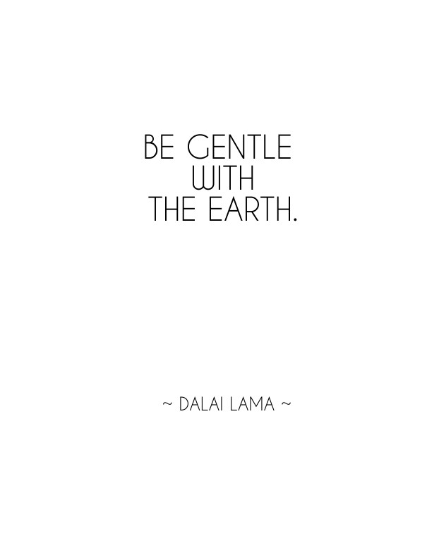 Be gentle withthe earth. ~ dalai Design 