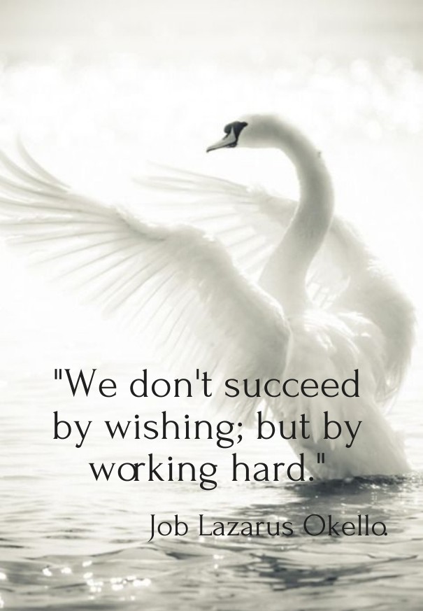 &quot;we don't succeed by wishing; Design 