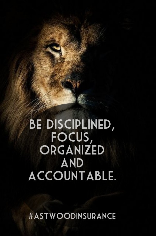 Be disciplined, focus, organized and Design 