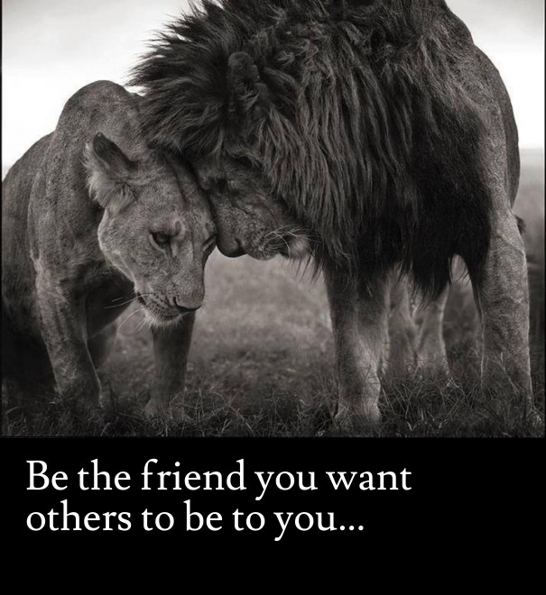 Be the friend you want others to be Design 