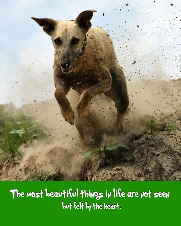 The most beautiful things in life Design 