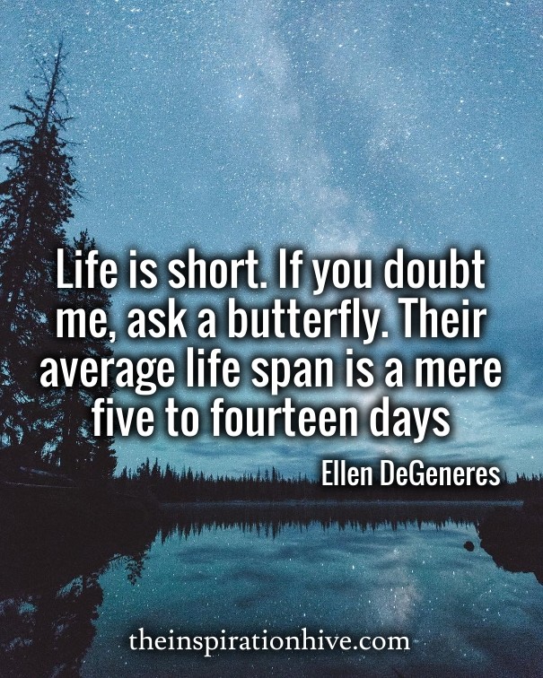 Life is short. if you doubt me, ask Design 