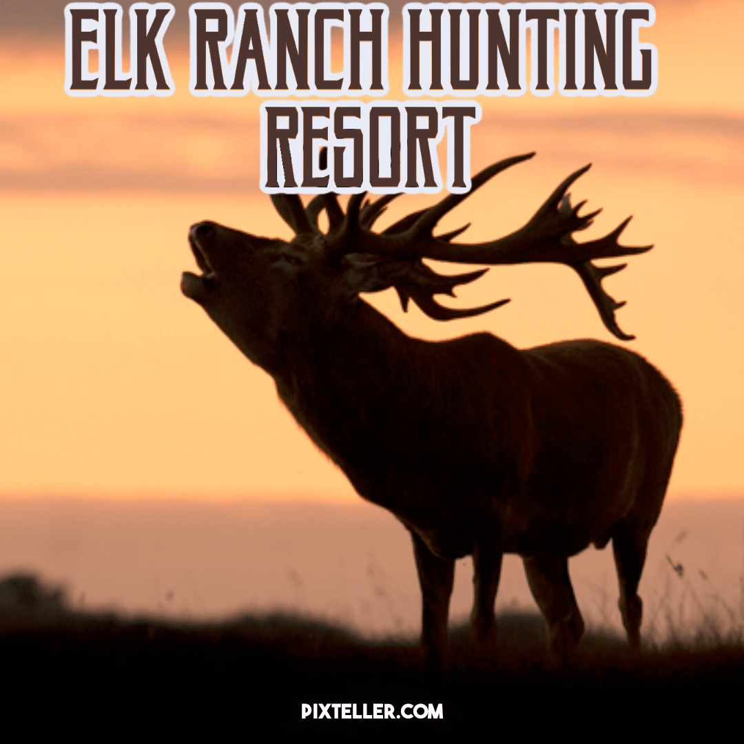 Elk Ranch Header Design 