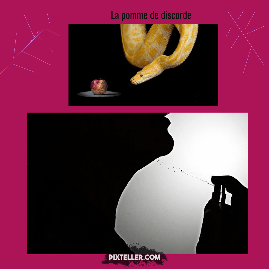 Untitled design Design 
