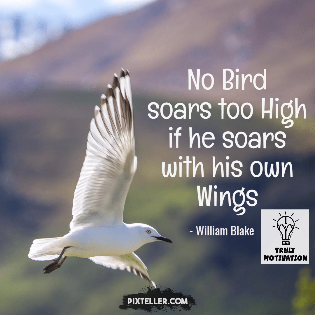 #Trulymotivation #birds Design 