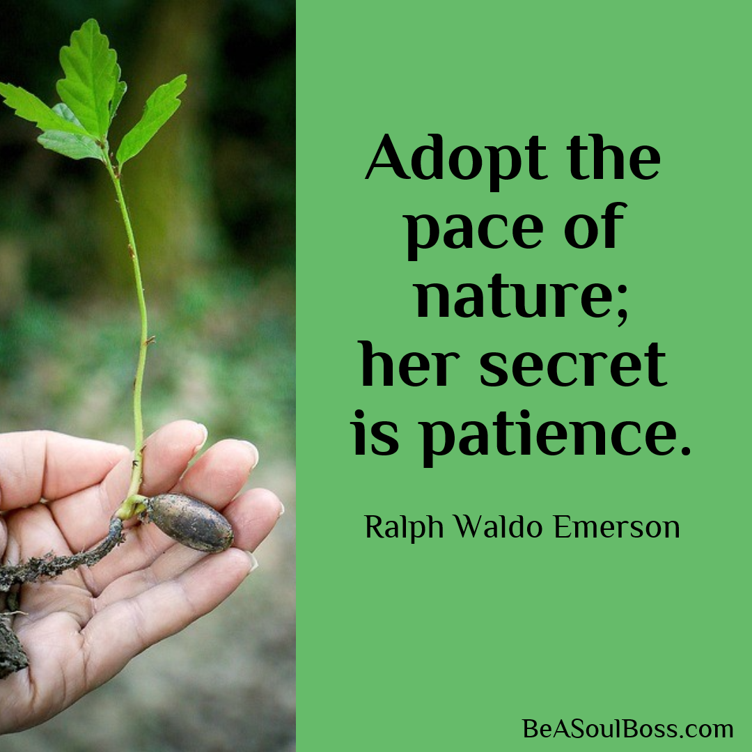 Adopt the pace of nature Design 