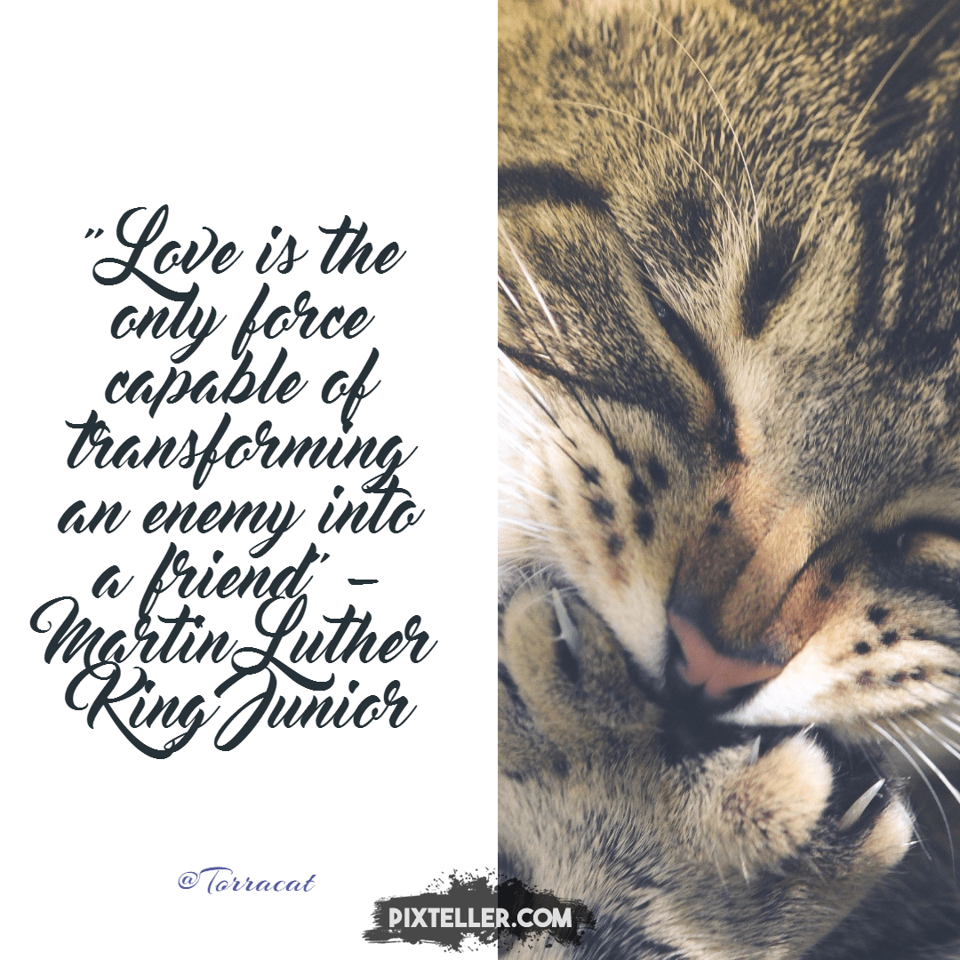#poster #text #quote #simple  Design 