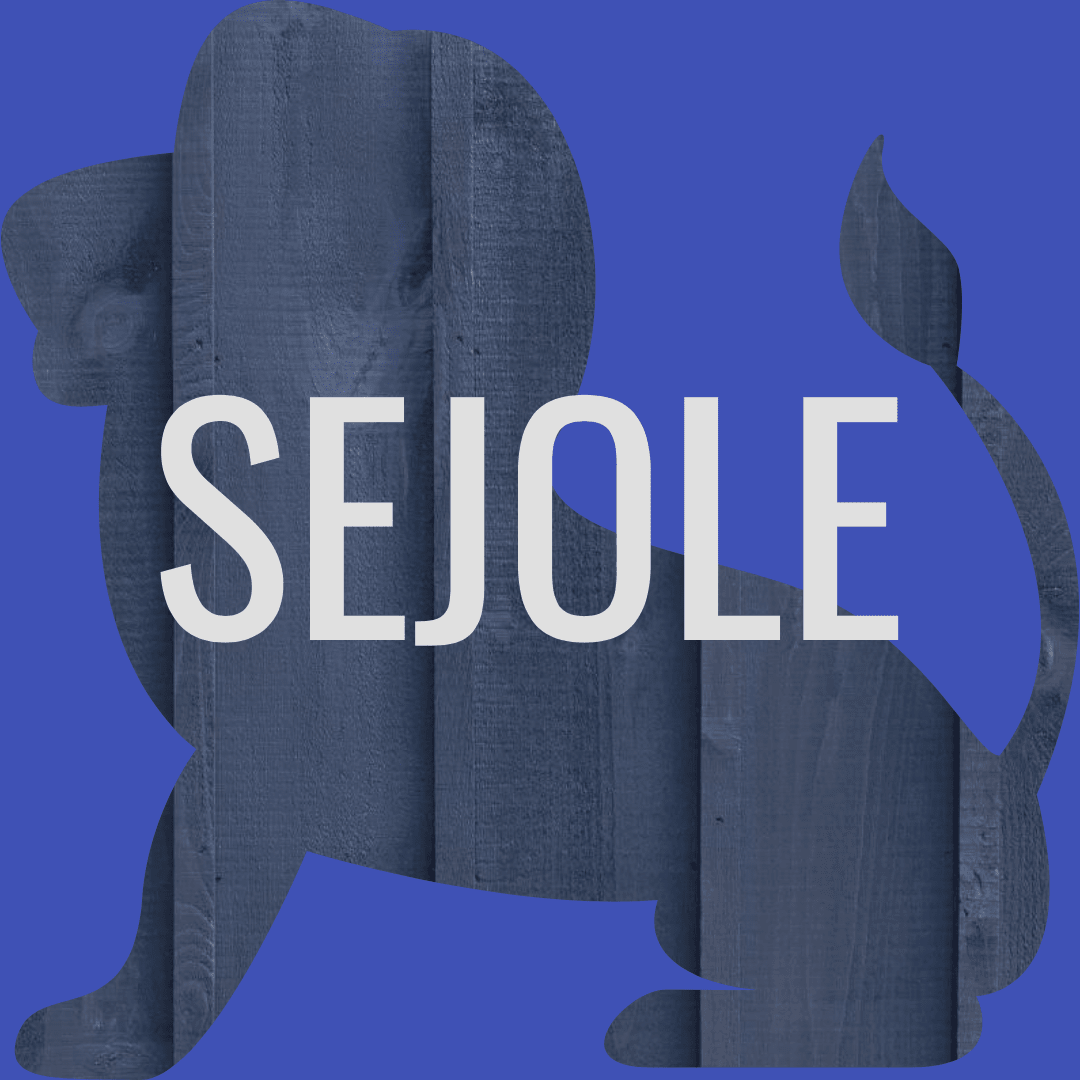 Sejole instagram  Design 