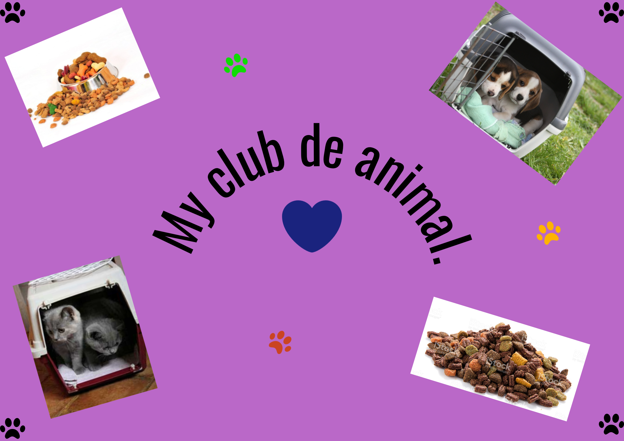 My club de animal Design 