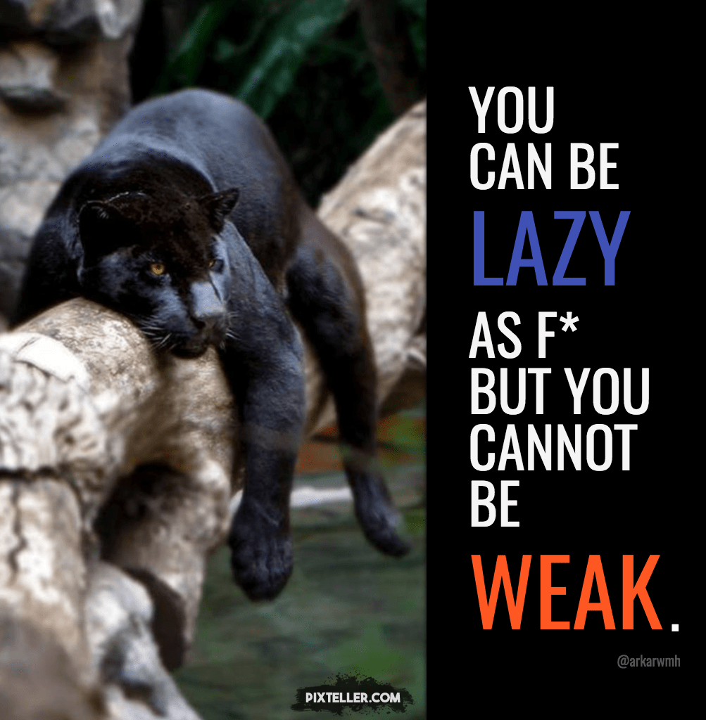 You Can Be Lazy #1 Design 