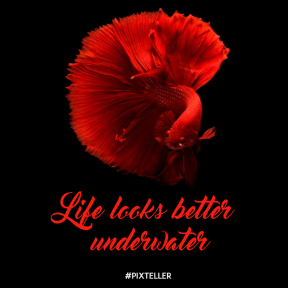 #poster #simple #quote