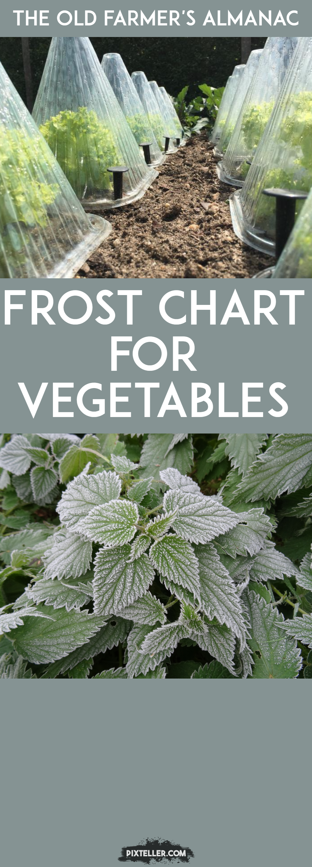 OFA 3-21-17 frost chart Design 