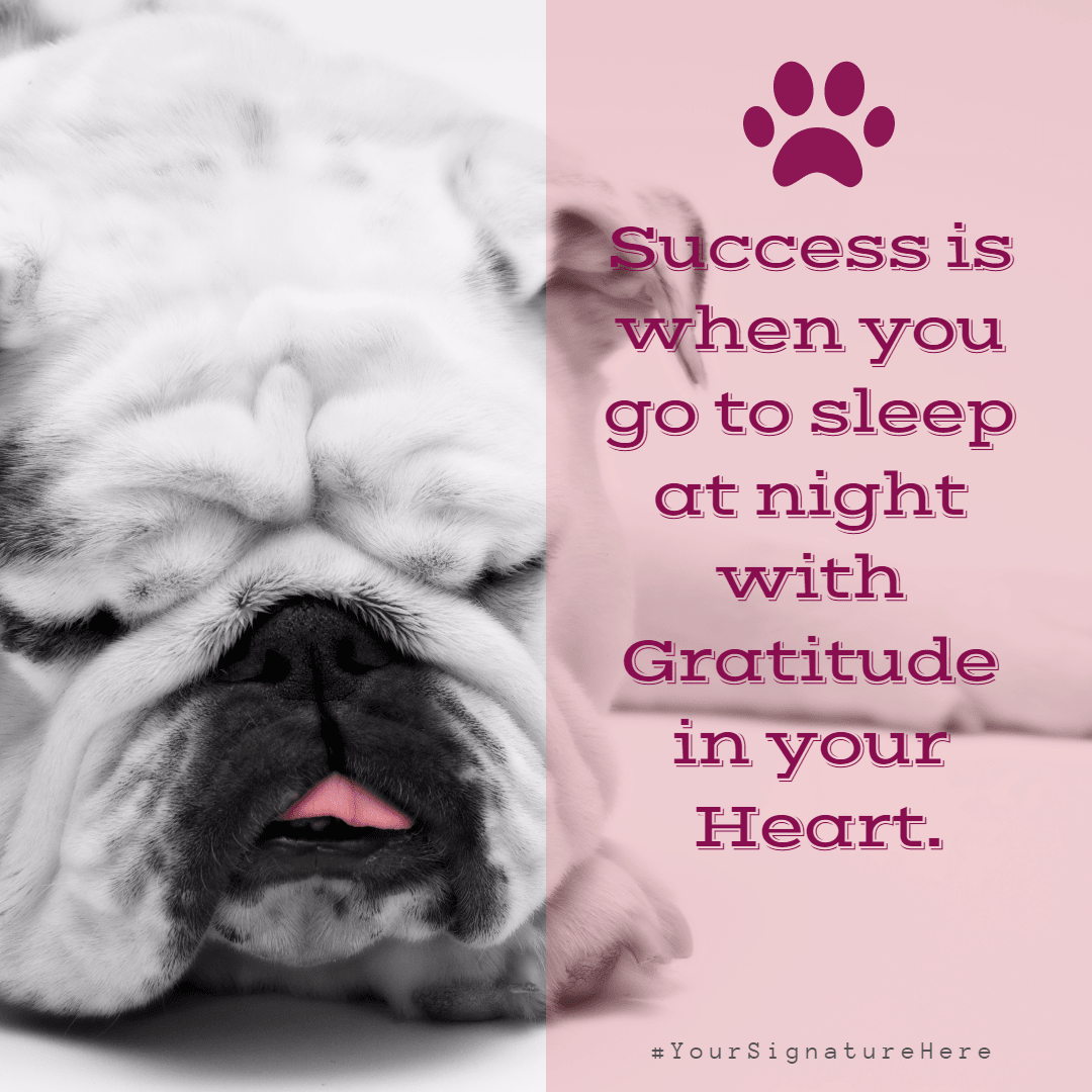 success puppy #funny #avatar #poster Design  Template 