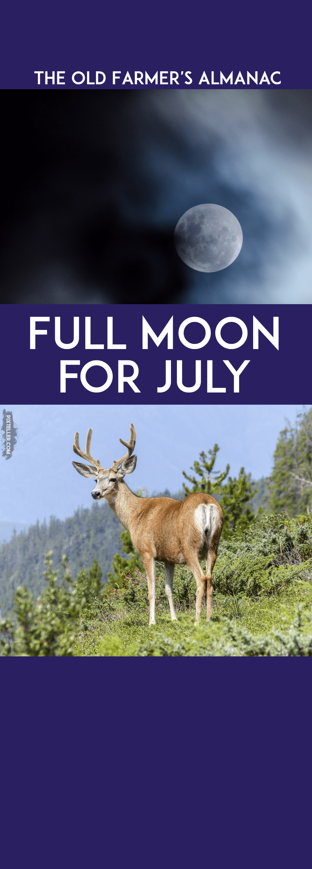 OFA 3-28-17 Full Moon July Design 