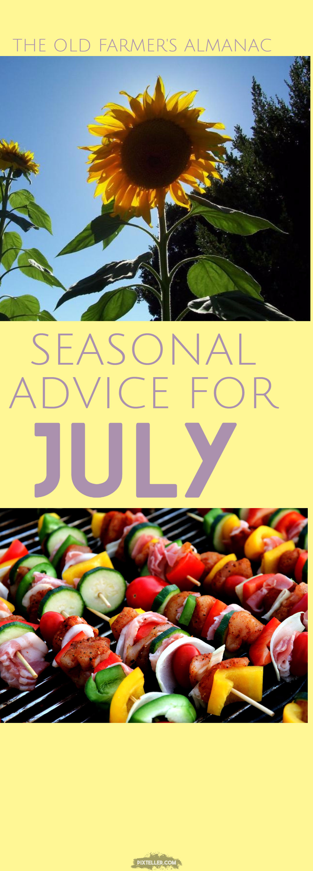 OFA 3-28-17 June Advice Design 