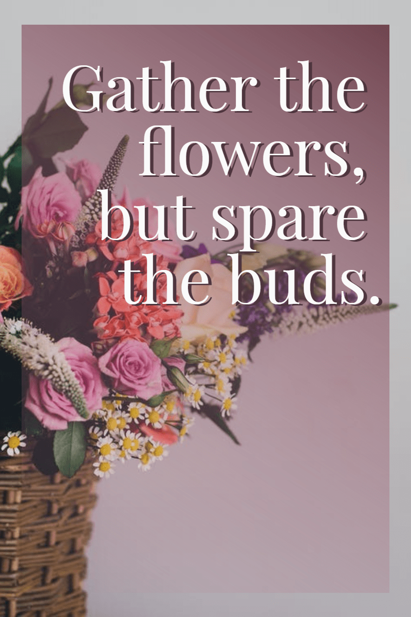 #quote #poster #flower #simple Design  Template 
