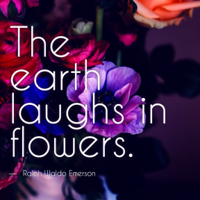 #flower #quote #simple