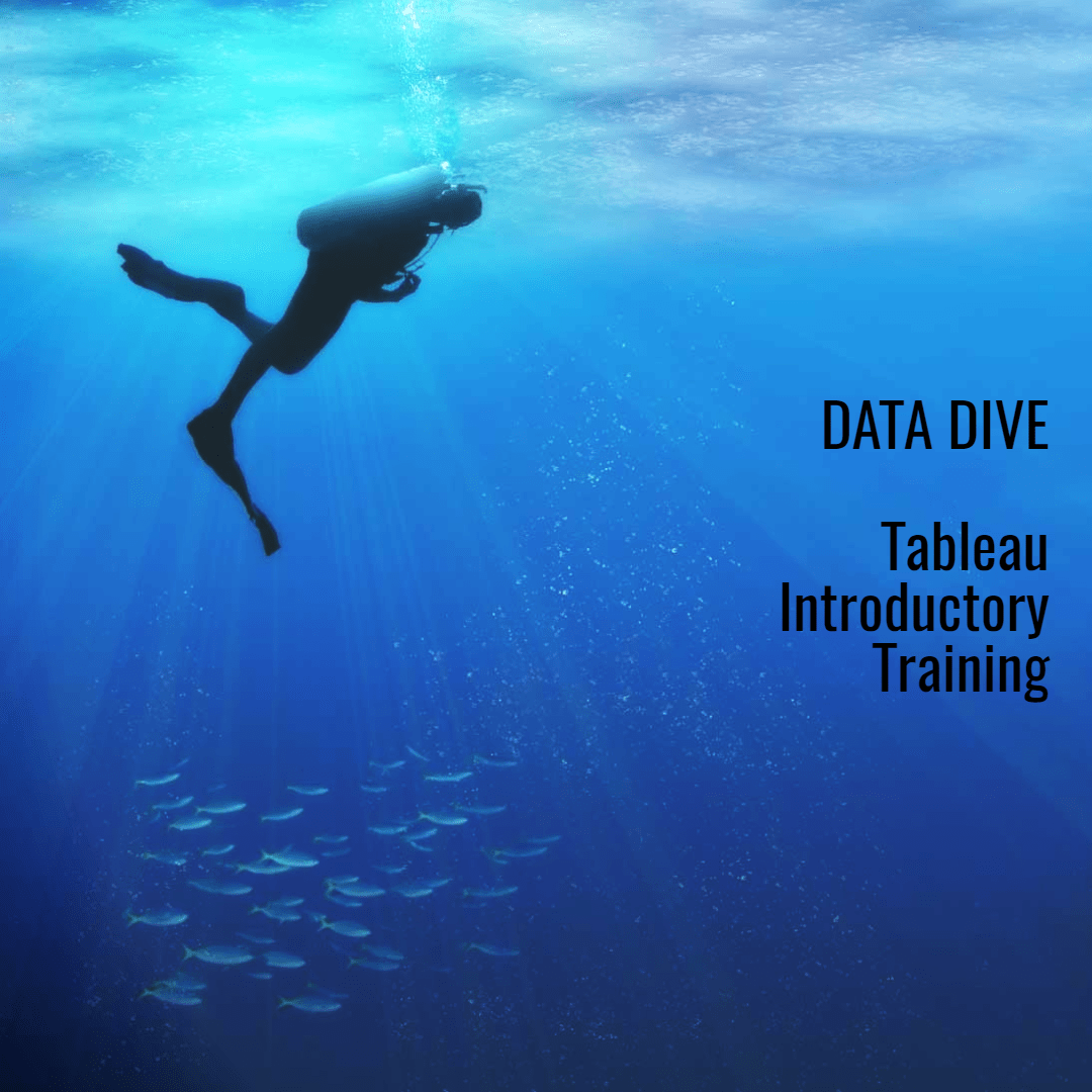 Data Dive Design 