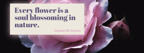 #poster #flower #quote #simple