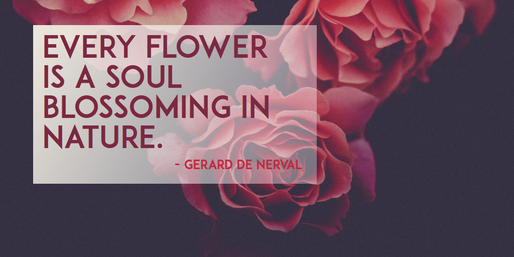#poster #flower #quote #simple Design 