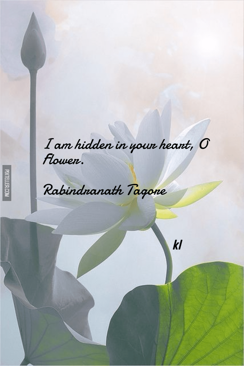 #poster #luxury #quote Design 