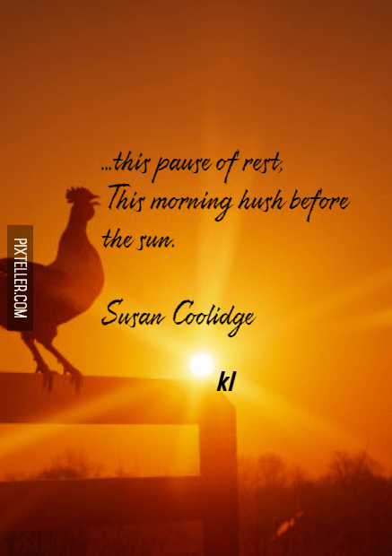 #poster #text #quote #simple  Design 