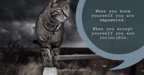 invincible kitty cat #poster #funny