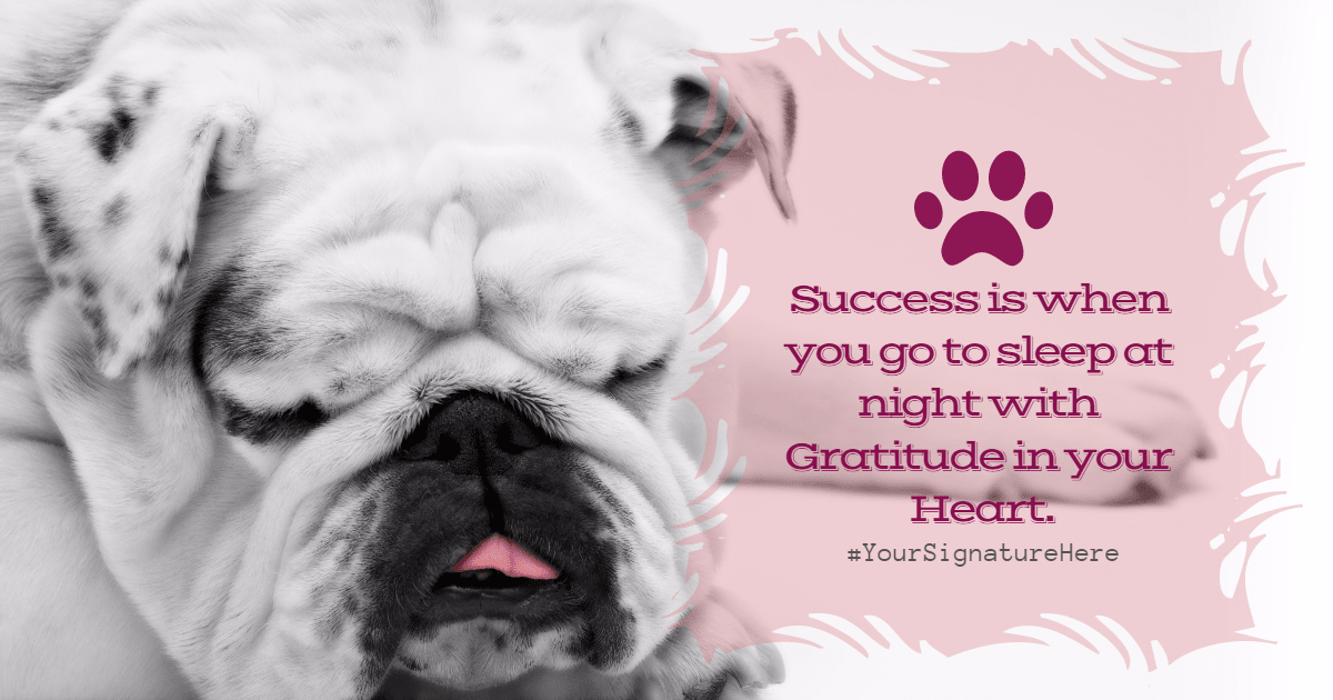 success puppy #funny #poster #quote Design  Template 