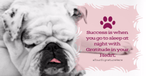 success puppy #funny #poster #quote