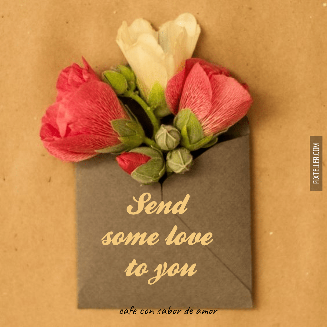 #send #letter #you #quote #pink  Design 