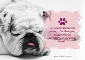 success puppy #funny #poster #quote