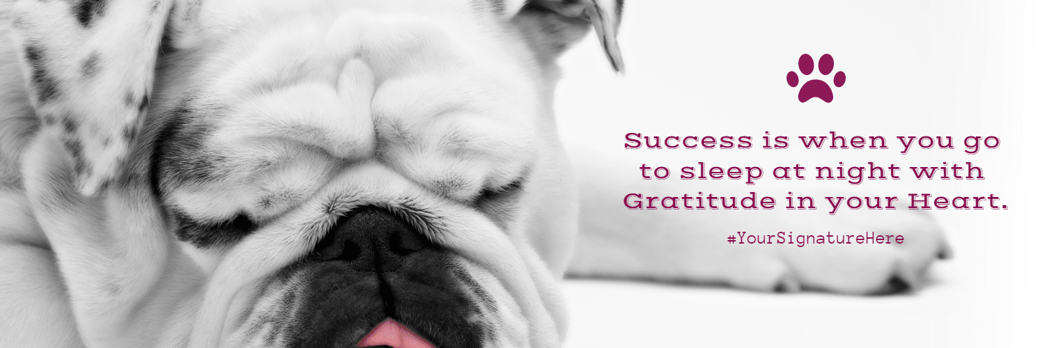 success puppy #funny #poster #quote Design  Template 