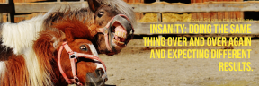 #funny horse #poster