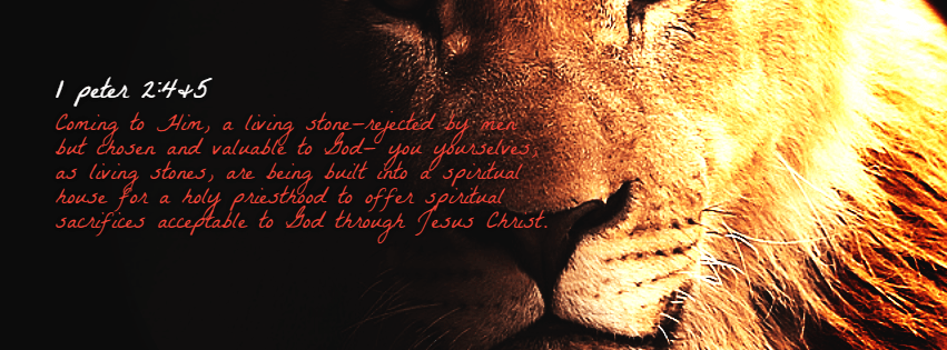 Be A Living Stone Design 
