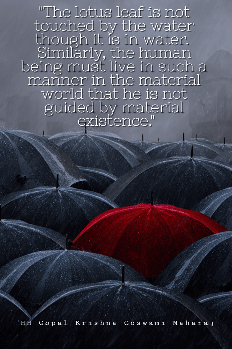 #poster #luxury #simple Design 