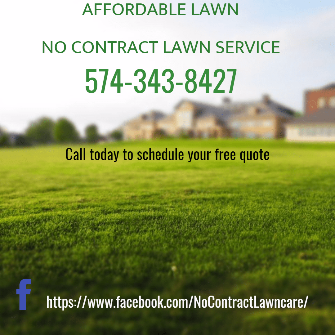 affordable lawn 2 Design 