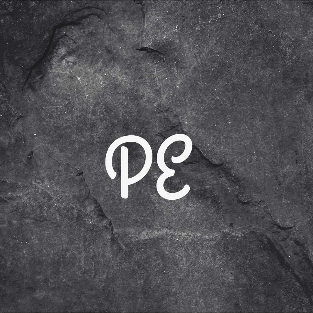 PE-DP1 Design 