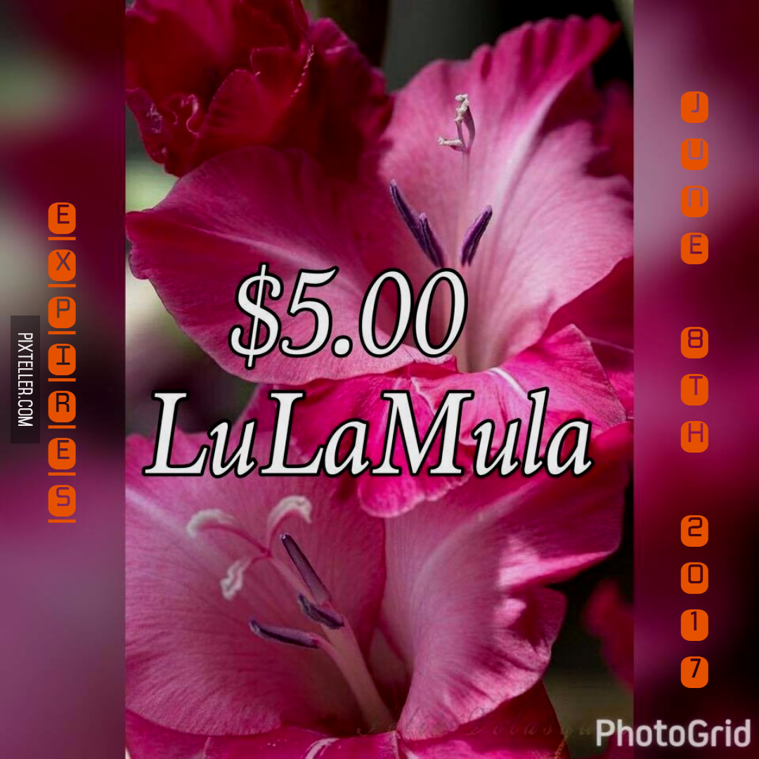 $5 LulaMula 6-8 Design 