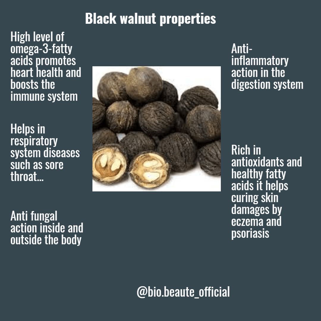 black walnut Design 