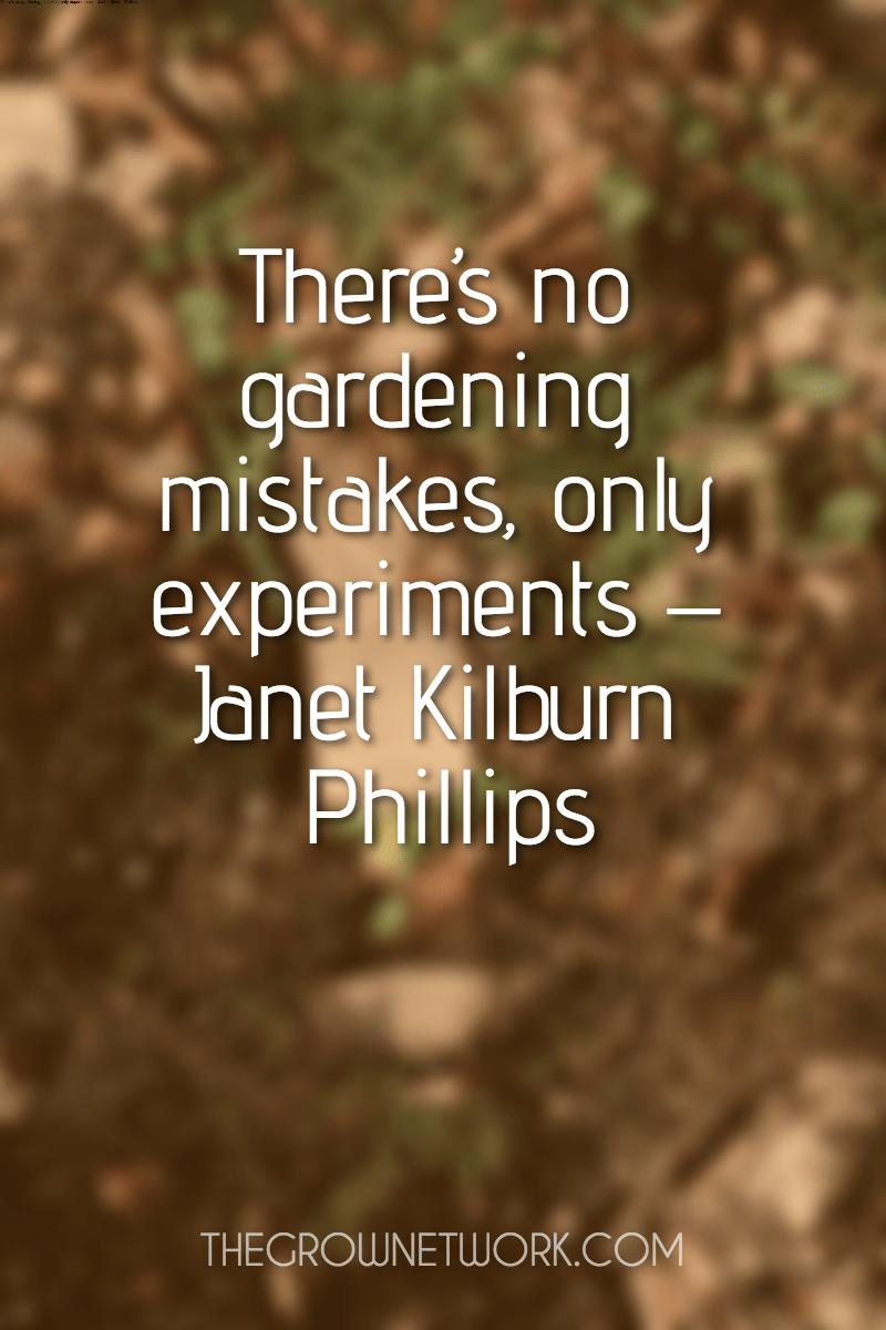 #poster #text #quote #simple  Design 