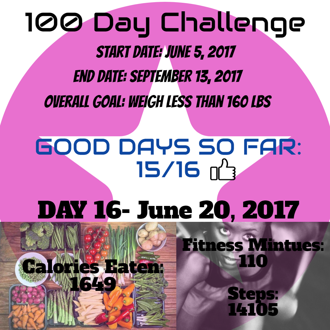 100 Day Challenge Daily Report Design 