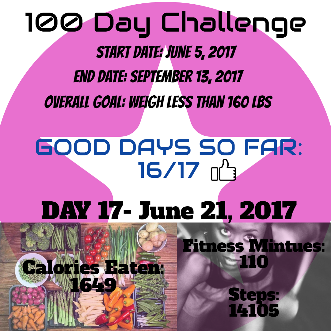 100 Day Challenge Daily Report Design 