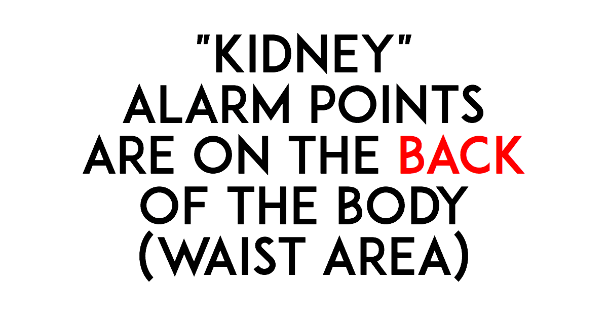 ALARM POINTS kidney back Design 