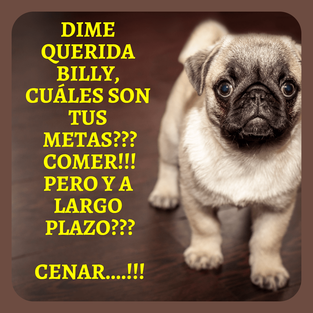 personal #funny #avatar #quote Design 