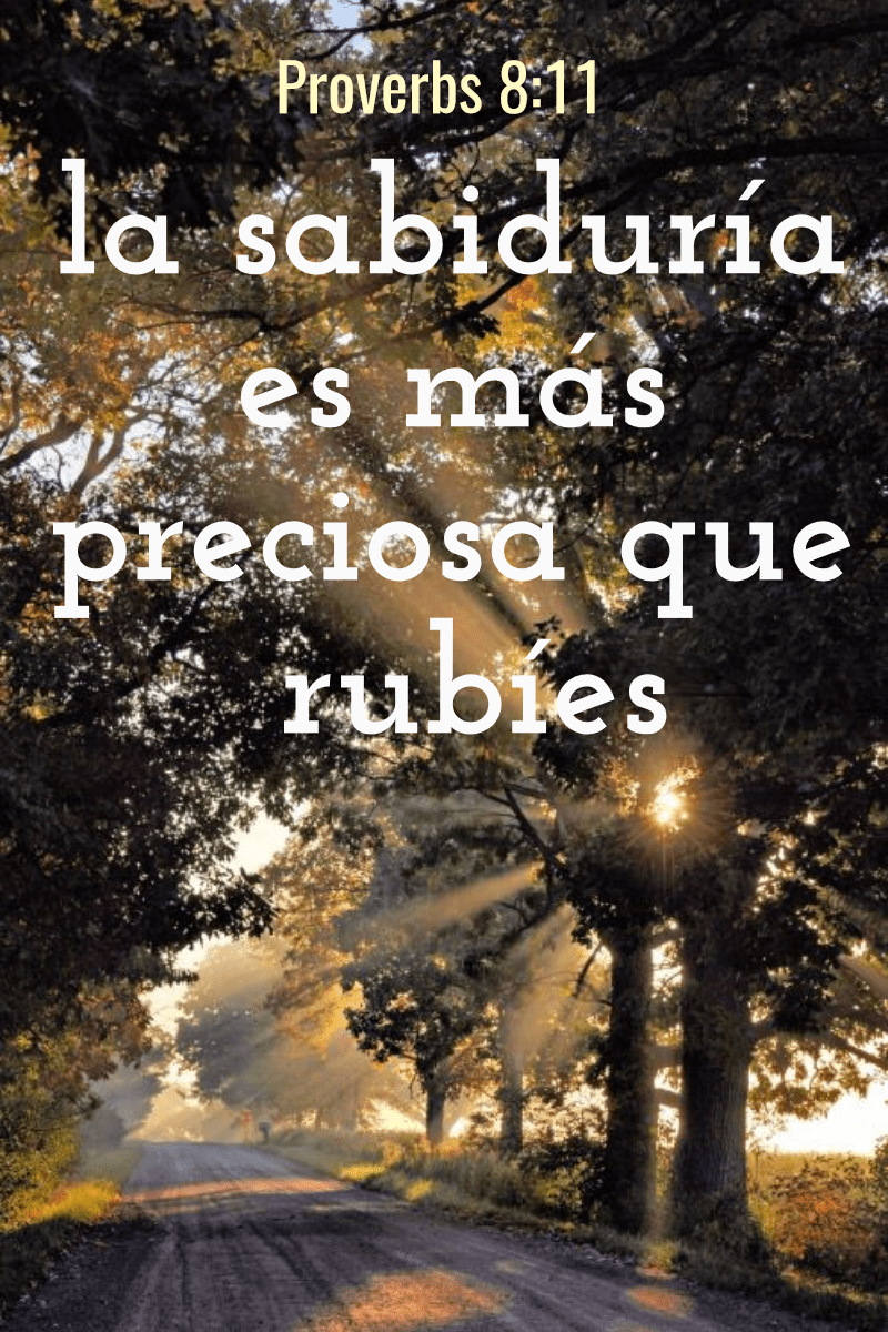 proverbs, frases, biblia,landscape  Design 