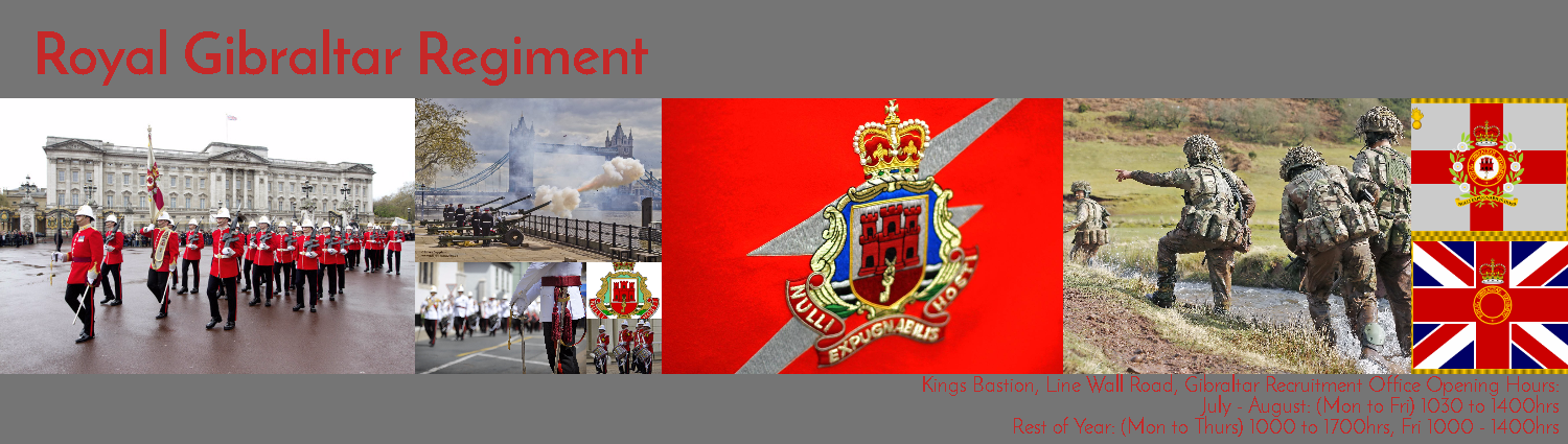 Royal Gibraltar Regiment Banner Design 