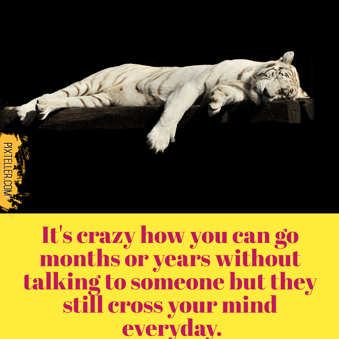 thinking tiger #avatar #poster Design 
